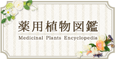 薬用植物図鑑